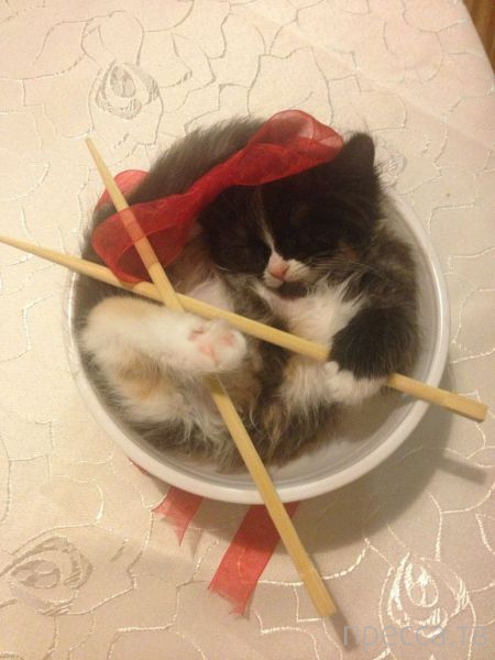 ����� �������� - �������� ��������, ����� 7 (47 ����)