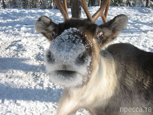 ����� �������� - �������� ��������, ����� 7 (47 ����)