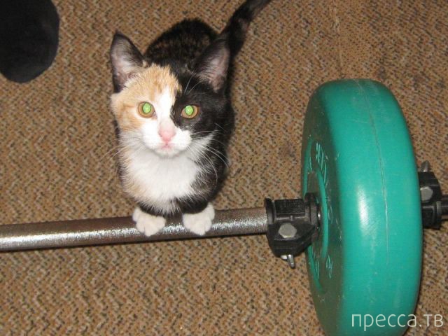 ����� �������� - �������� ��������, ����� 7 (47 ����)