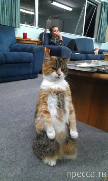 ����� �������� - �������� ��������, ����� 7 (47 ����)