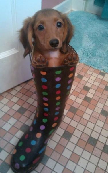 ����� �������� - �������� ��������, ����� 7 (47 ����)