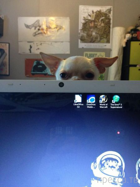 ����� �������� - �������� ��������, ����� 7 (47 ����)