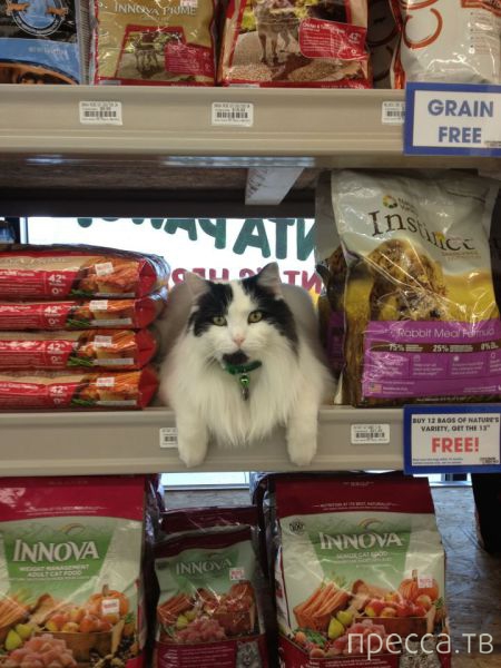 ����� �������� - �������� ��������, ����� 7 (47 ����)