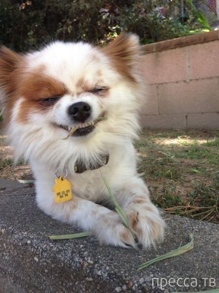 ����� �������� - �������� ��������, ����� 7 (47 ����)