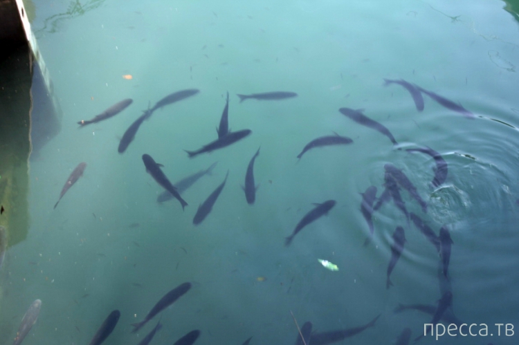 Путешествие по Стране Басков (25 фото) Путешествие по Стране Басков (25 фото)