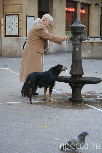 Путешествие по Стране Басков (25 фото) Путешествие по Стране Басков (25 фото)
