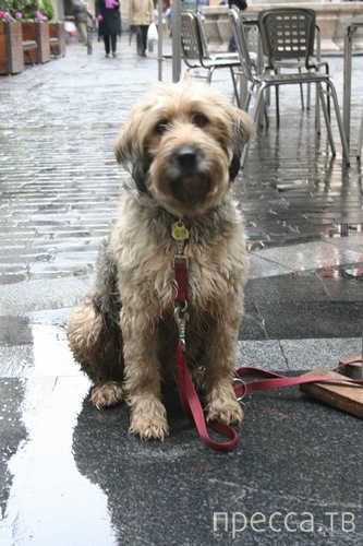 ����������� �� ������ ������ (25 ����)