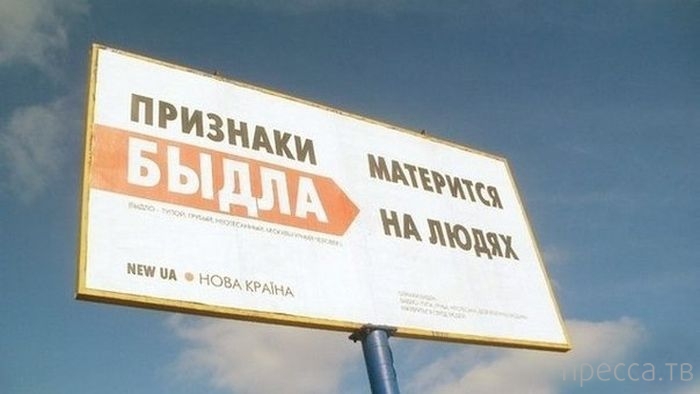 ��� ���������� �����? (6 ����)