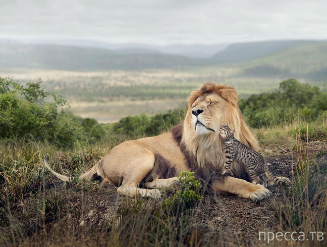 ����������� ���� � ����� ������ (6 ����)