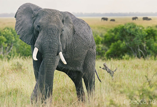 ����������� ���� � ����� ������ (6 ����)