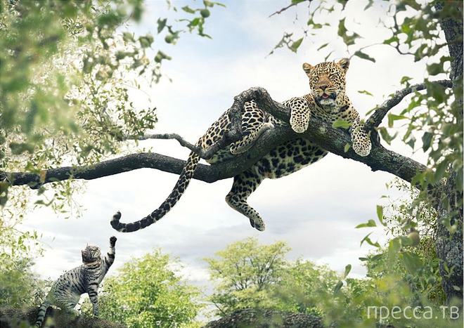 ����������� ���� � ����� ������ (6 ����)