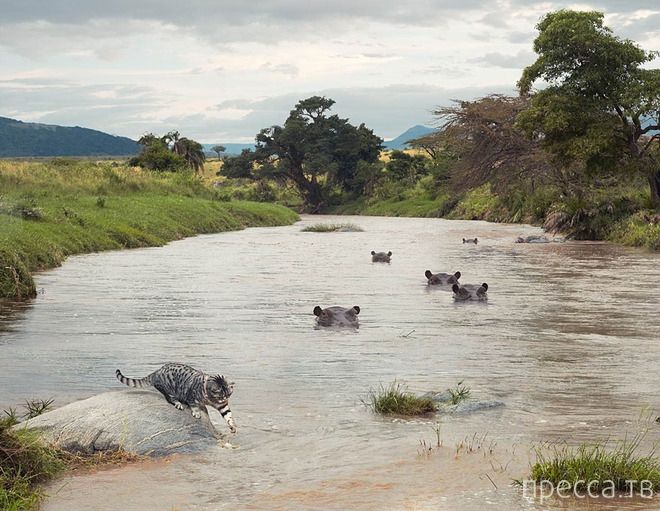 ����������� ���� � ����� ������ (6 ����)