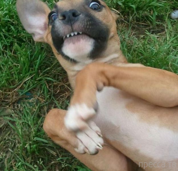 ����� �������� - �������� ��������, ����� 8 (53 ����)