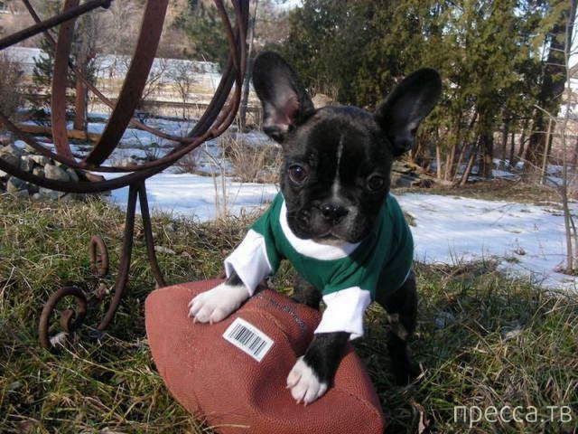 ����� �������� - �������� ��������, ����� 8 (53 ����)