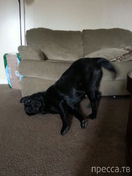 ����� �������� - �������� ��������, ����� 8 (53 ����)