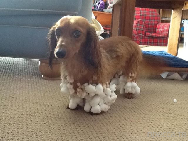 ����� �������� - �������� ��������, ����� 8 (53 ����)