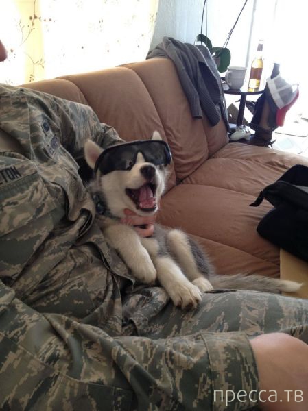 ����� �������� - �������� ��������, ����� 8 (53 ����)