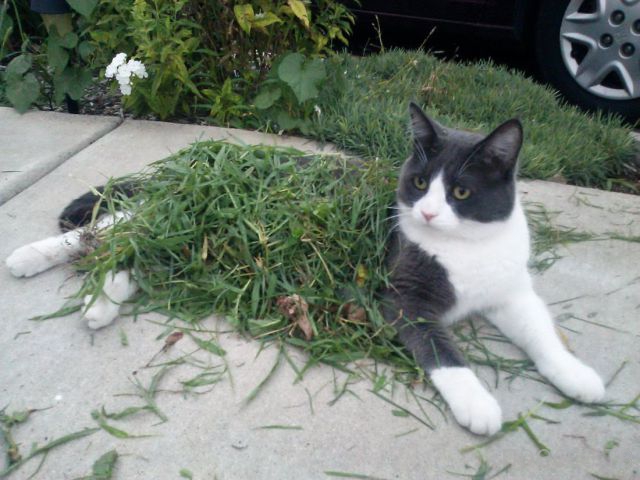 ����� �������� - �������� ��������, ����� 8 (53 ����)