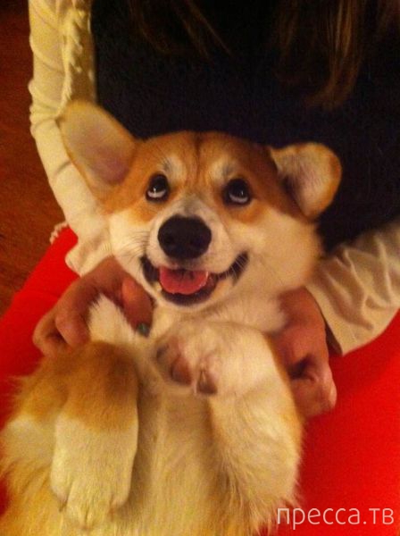 ����� �������� - �������� ��������, ����� 8 (53 ����)