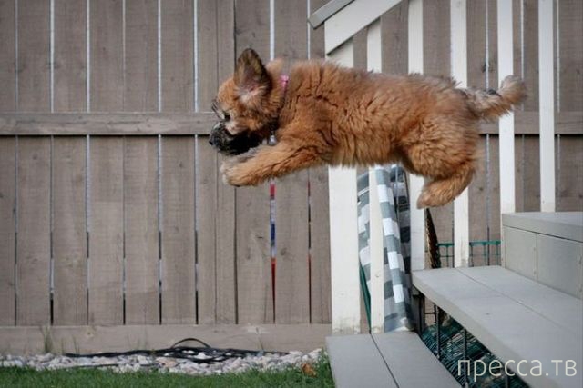 ����� �������� - �������� ��������, ����� 8 (53 ����)