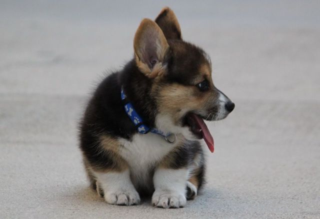 ����� �������� - �������� ��������, ����� 8 (53 ����)