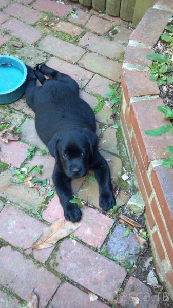 ����� �������� - �������� ��������, ����� 8 (53 ����)