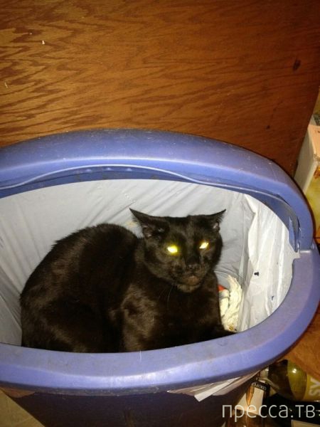 ����� �������� - �������� ��������, ����� 8 (53 ����)