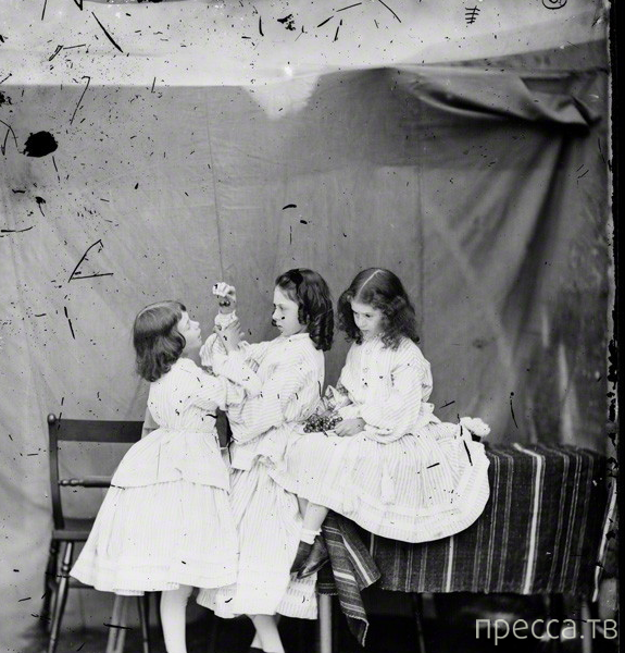 ����� ������ - �������� ������� ������� "����� � ������ �����" (11 ����)