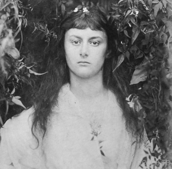 ����� ������ - �������� ������� ������� "����� � ������ �����" (11 ����)