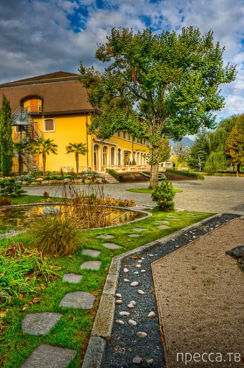 Le Rosey (�� ����) - ����������� ������� �����-��������, ���� ����������� ����������� ����� ���� ���������� ����� ����� (8 ����)