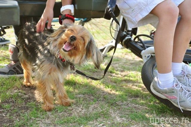 ����� �������� - �������� ��������, ����� 9 (52 ����)