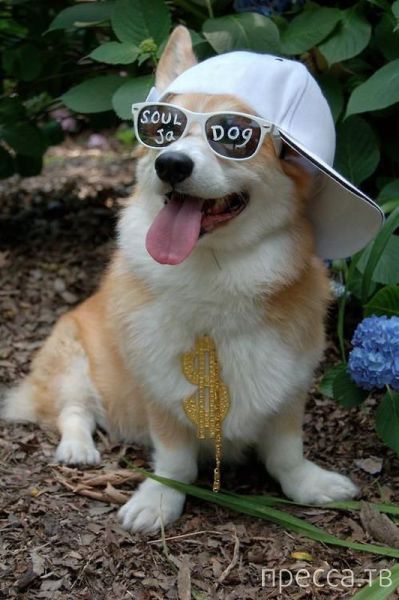 ����� �������� - �������� ��������, ����� 9 (52 ����)