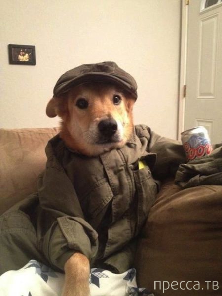 ����� �������� - �������� ��������, ����� 9 (52 ����)