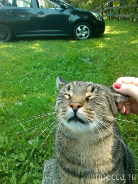 ����� �������� - �������� ��������, ����� 9 (52 ����)