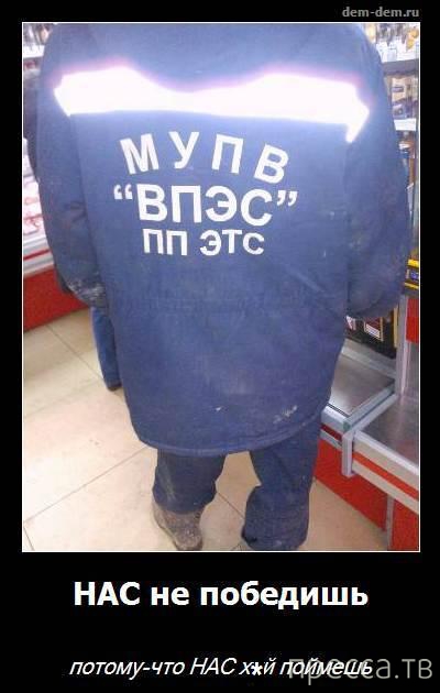 ������������ �� �������, ����� 28 (52 ����)
