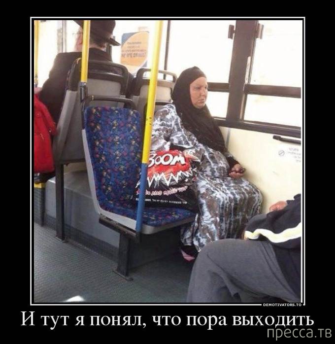 ������������ �� �������, ����� 28 (52 ����)
