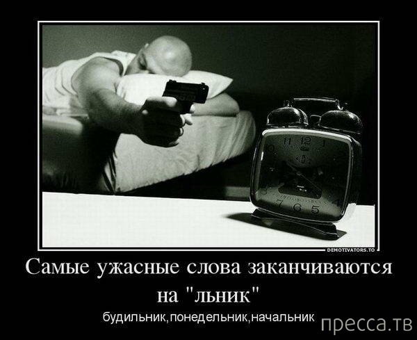 ������������ �� �������, ����� 28 (52 ����)