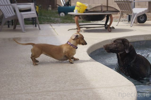 ����� �������� - �������� ��������, ����� 10 (44 ����)