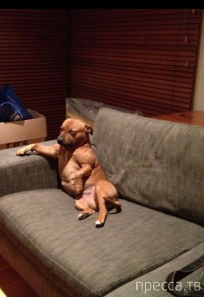 ����� �������� - �������� ��������, ����� 10 (44 ����)