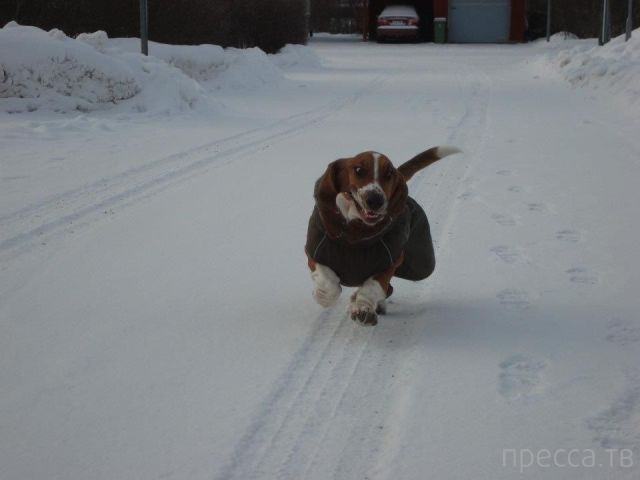 ����� �������� - �������� ��������, ����� 10 (44 ����)