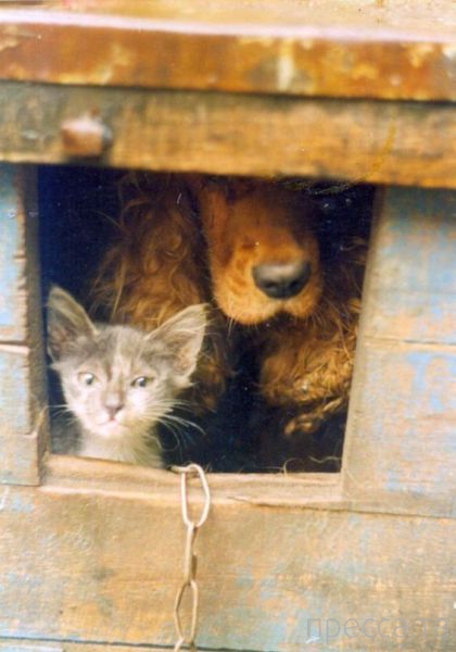 ����� �������� - �������� ��������, ����� 10 (44 ����)