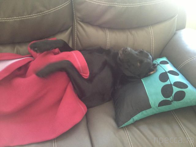 ����� �������� - �������� ��������, ����� 10 (44 ����)