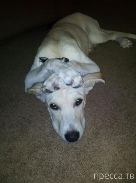 ����� �������� - �������� ��������, ����� 10 (44 ����)