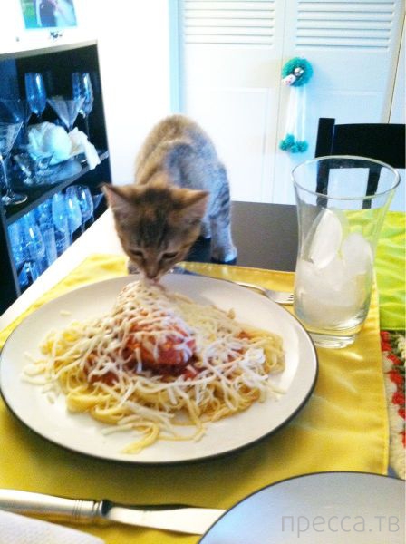 ����� �������� - �������� ��������, ����� 10 (44 ����)