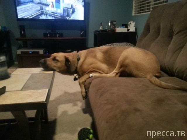 ����� �������� - �������� ��������, ����� 10 (44 ����)