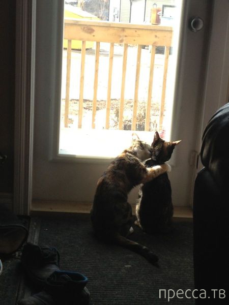 ����� �������� - �������� ��������, ����� 10 (44 ����)