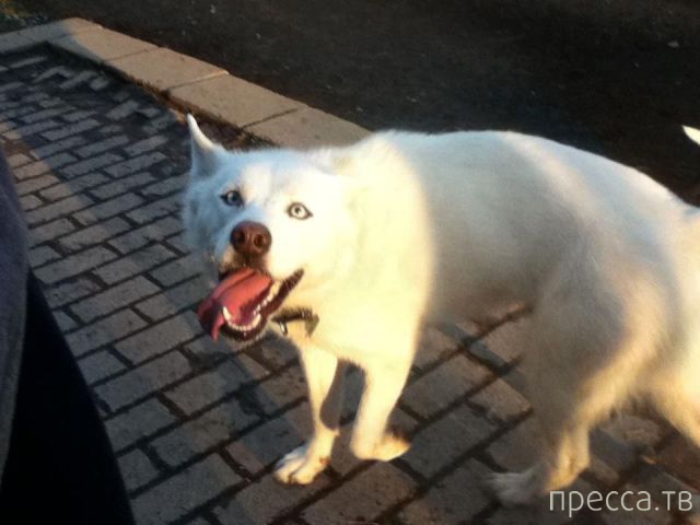 ����� �������� - �������� ��������, ����� 10 (44 ����)