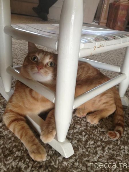 ����� �������� - �������� ��������, ����� 11 (48 ����)