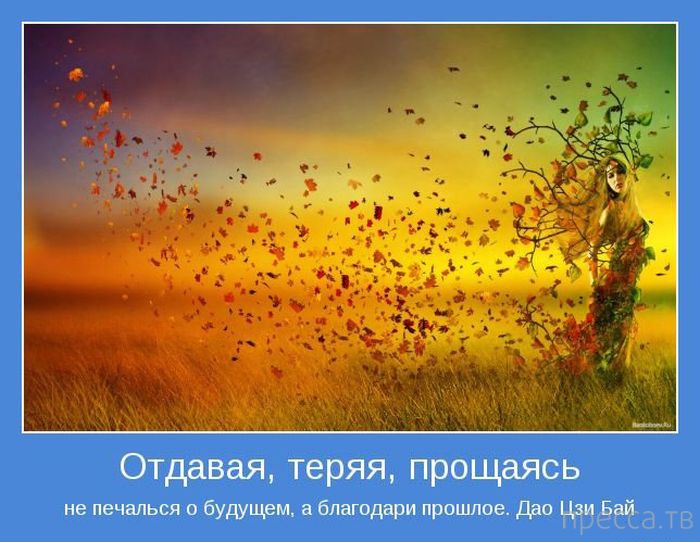 ���������� ����������, ����� 24 (40 ����)