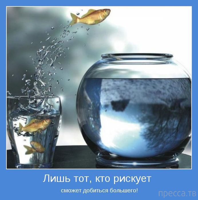 ���������� ����������, ����� 24 (40 ����)